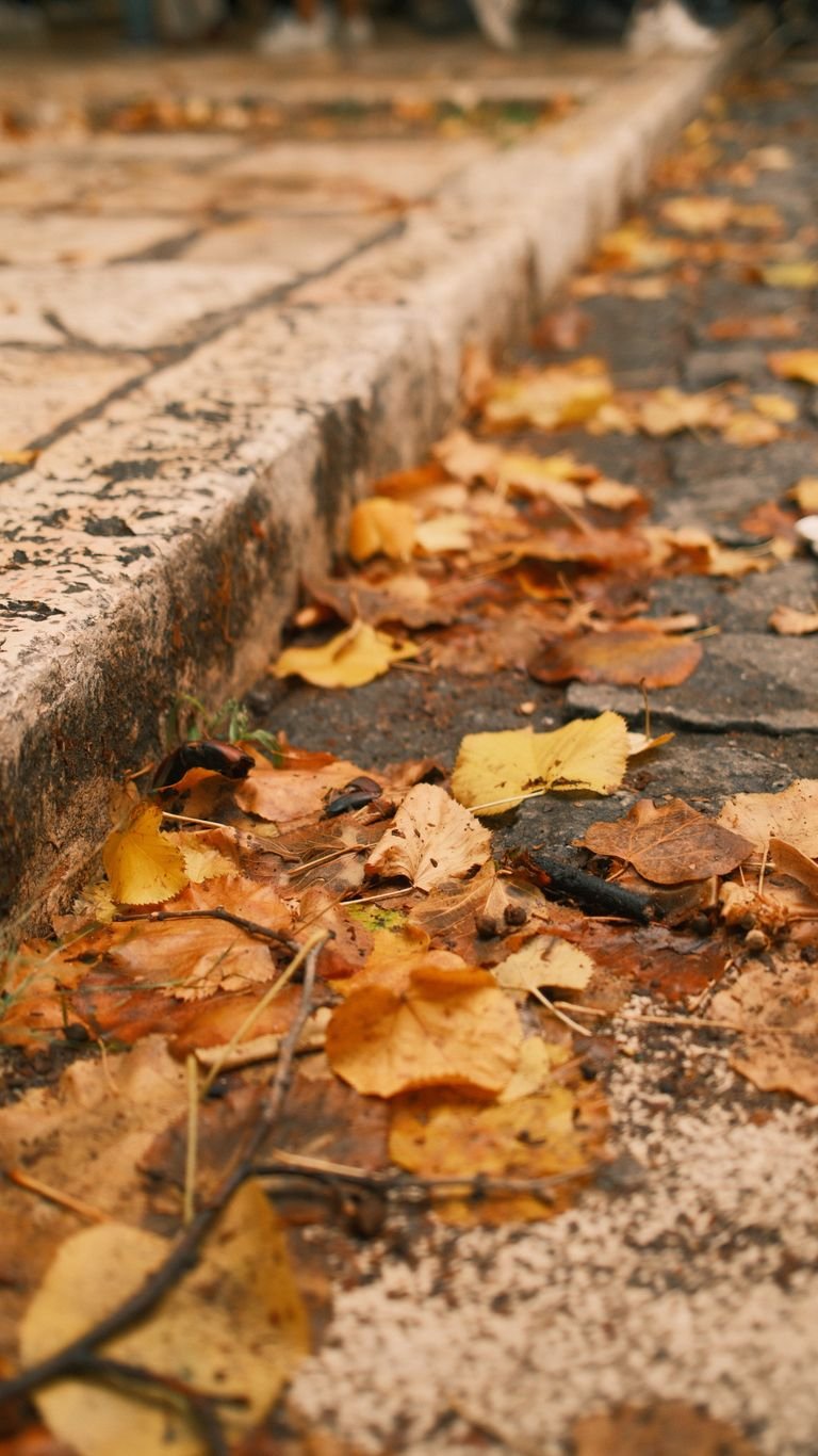 Close-up view of colorful autumn leaves scattered across a sidewalk.